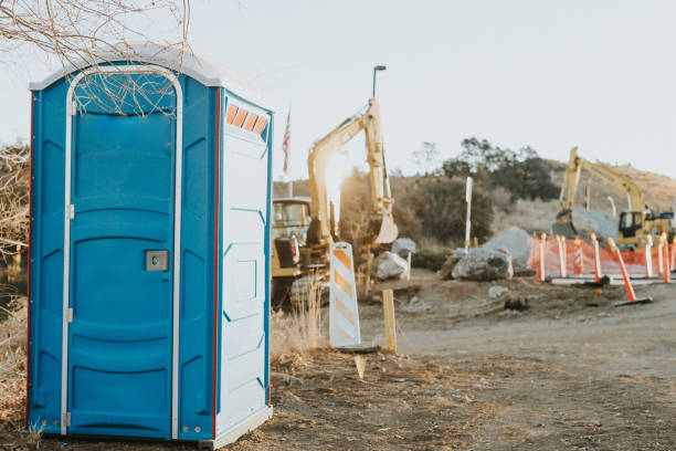 Best Affordable portable toilet rental  in Sauk Vlage, IL